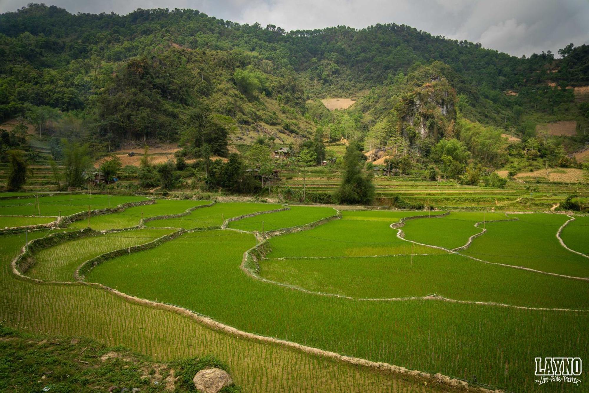 Quiri Hostel Ha Giang Lang Lap Exterior photo